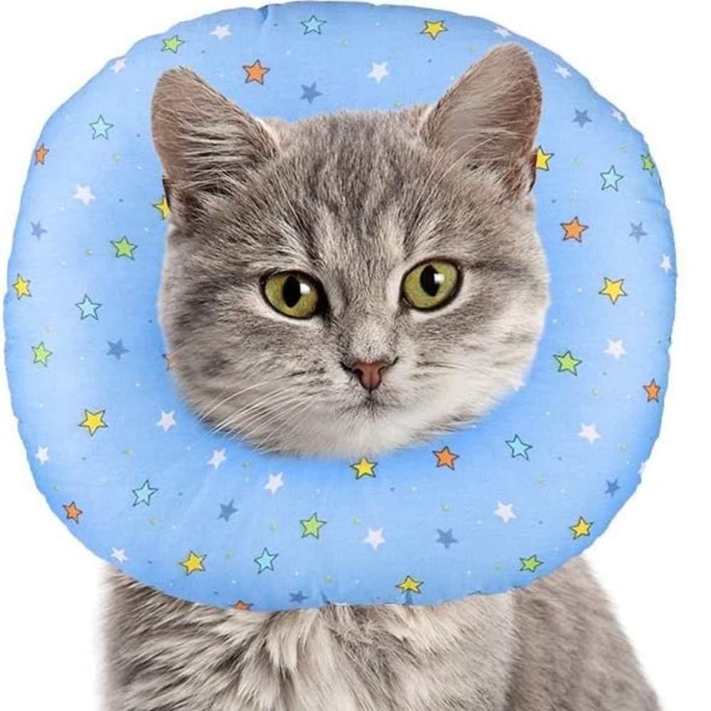 Cat Recovery Collar Size Medium- Cat not included 🐱 - Picture 3 of 6